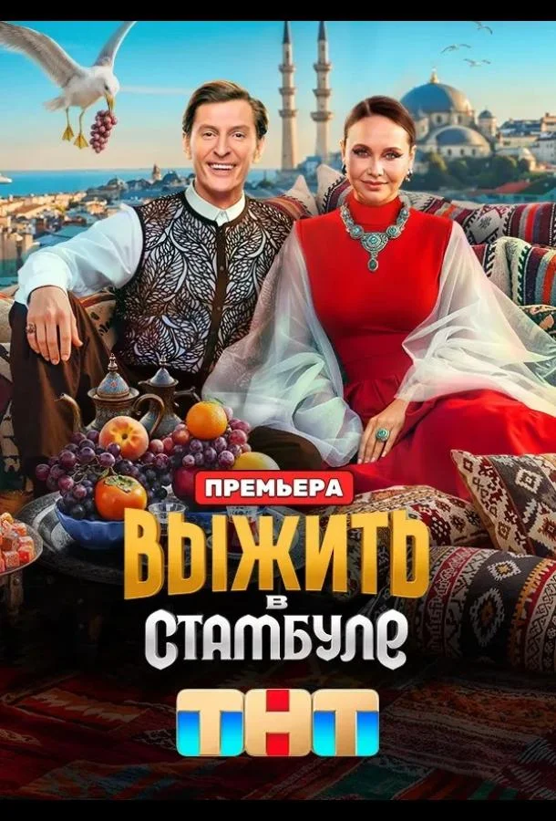Выжить в Стамбуле (1 сезон 1-10,11,12 серия) смотреть онлайн