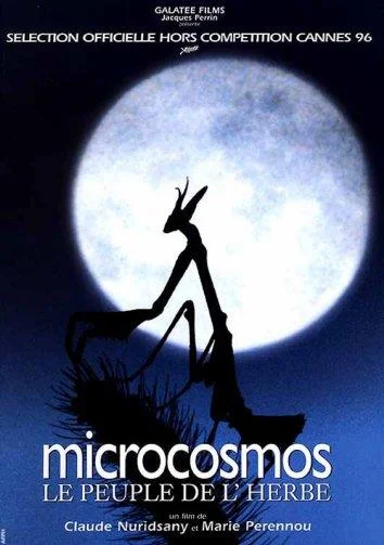 Микрокосмос (1996) смотреть онлайн